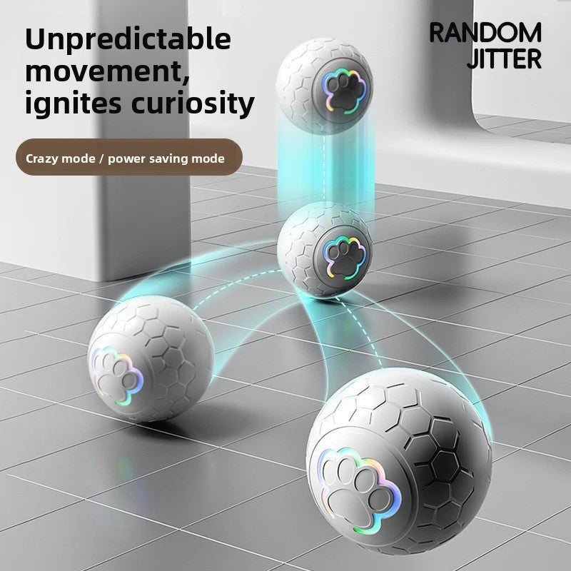 Electronic Pet Toy