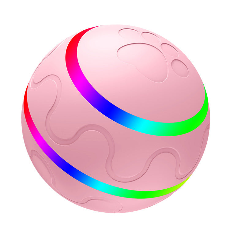 Electronic Pet Toy