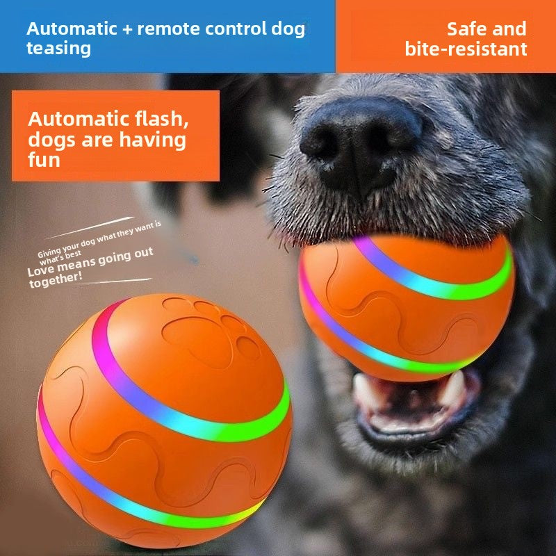 Electronic Pet Toy (Copy)