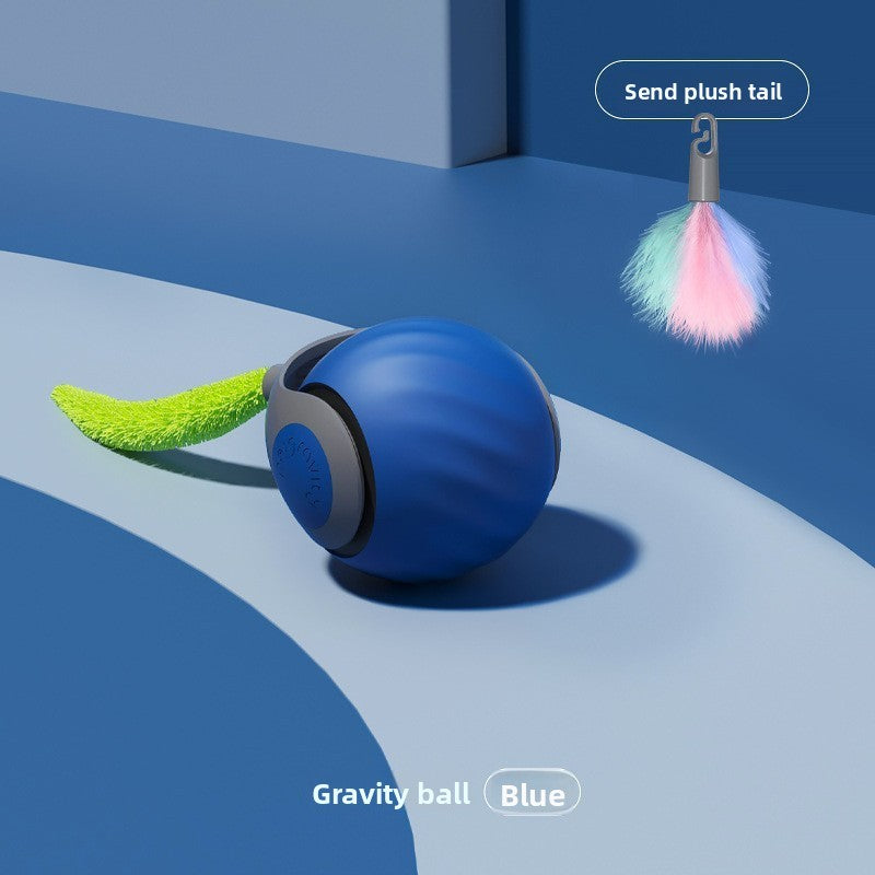 Electronic Pet Toy