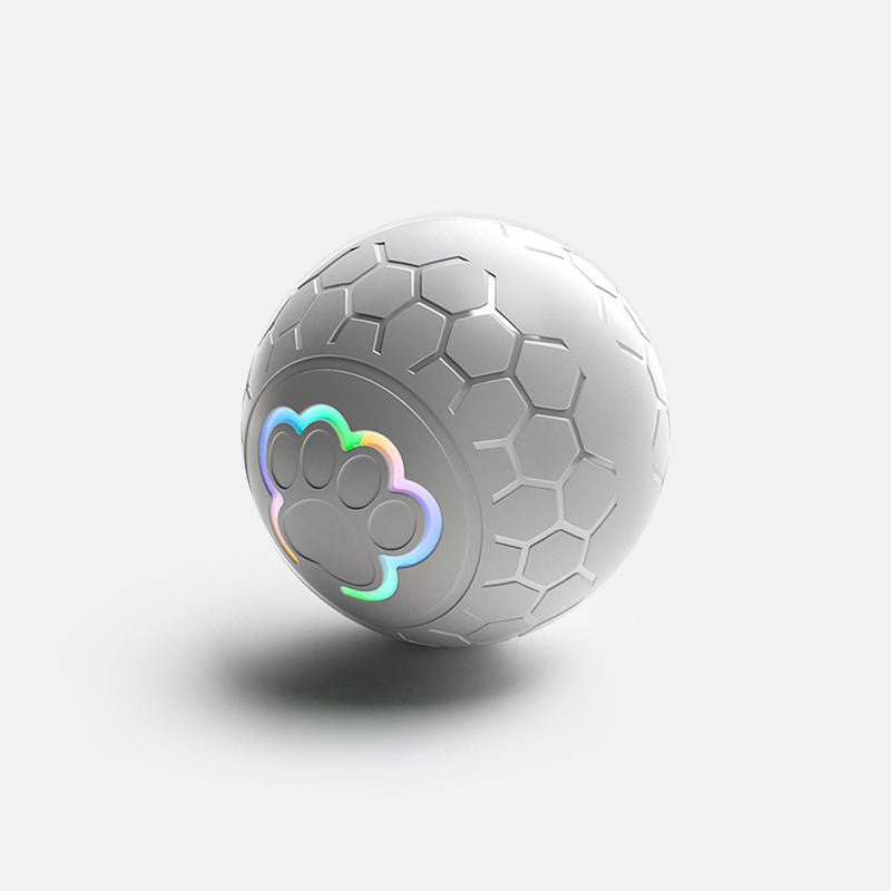 Electronic Pet Toy