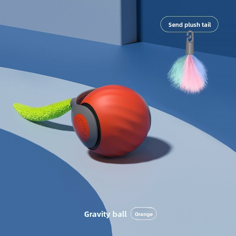 Electronic Pet Toy