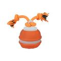pet toys