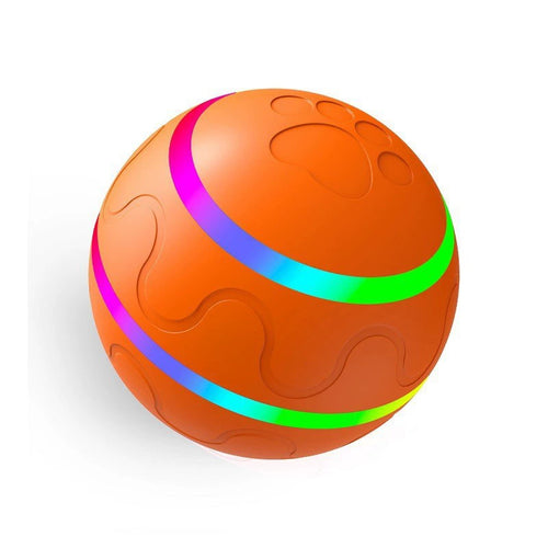Electronic Pet Toy