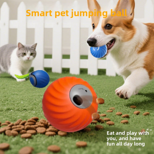 Electronic Pet Toy